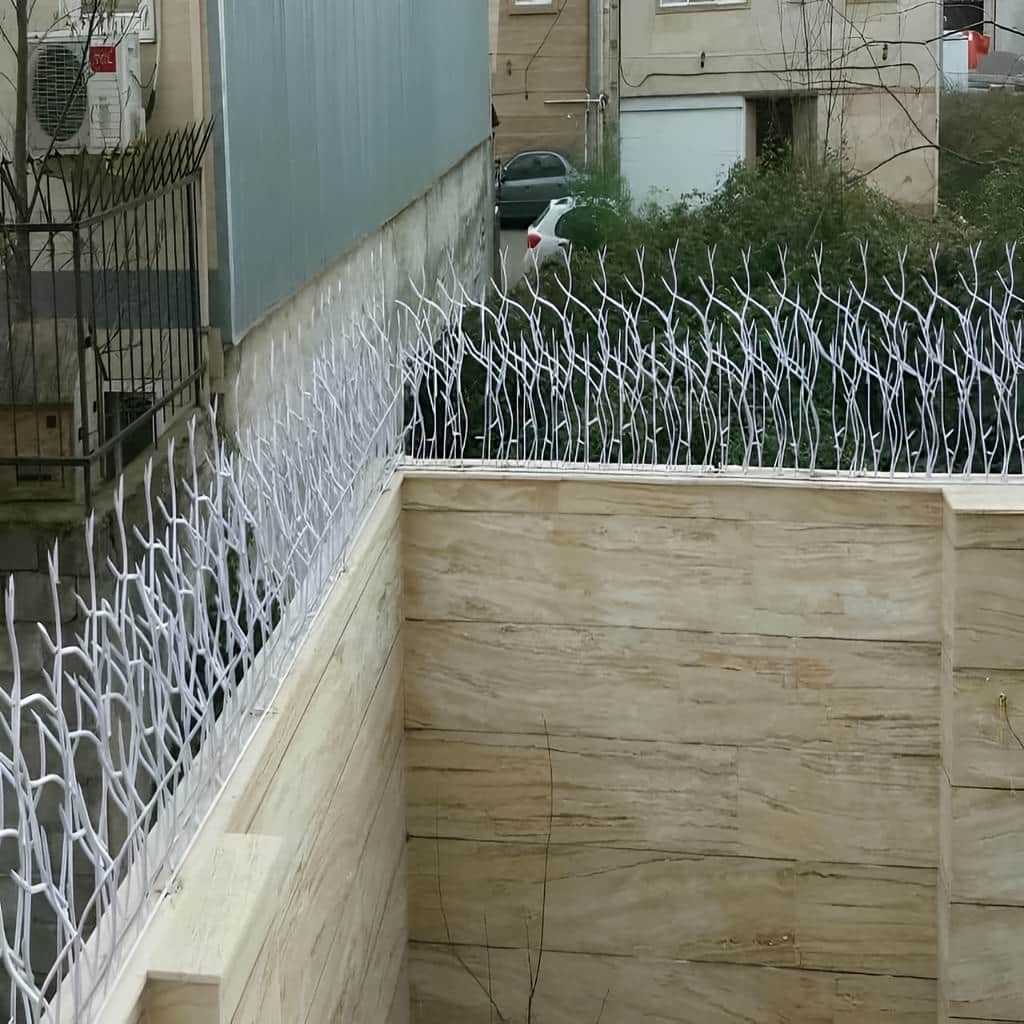 حفاظ شاخ گوزنی با نصب دقیق روی لبه دیوار