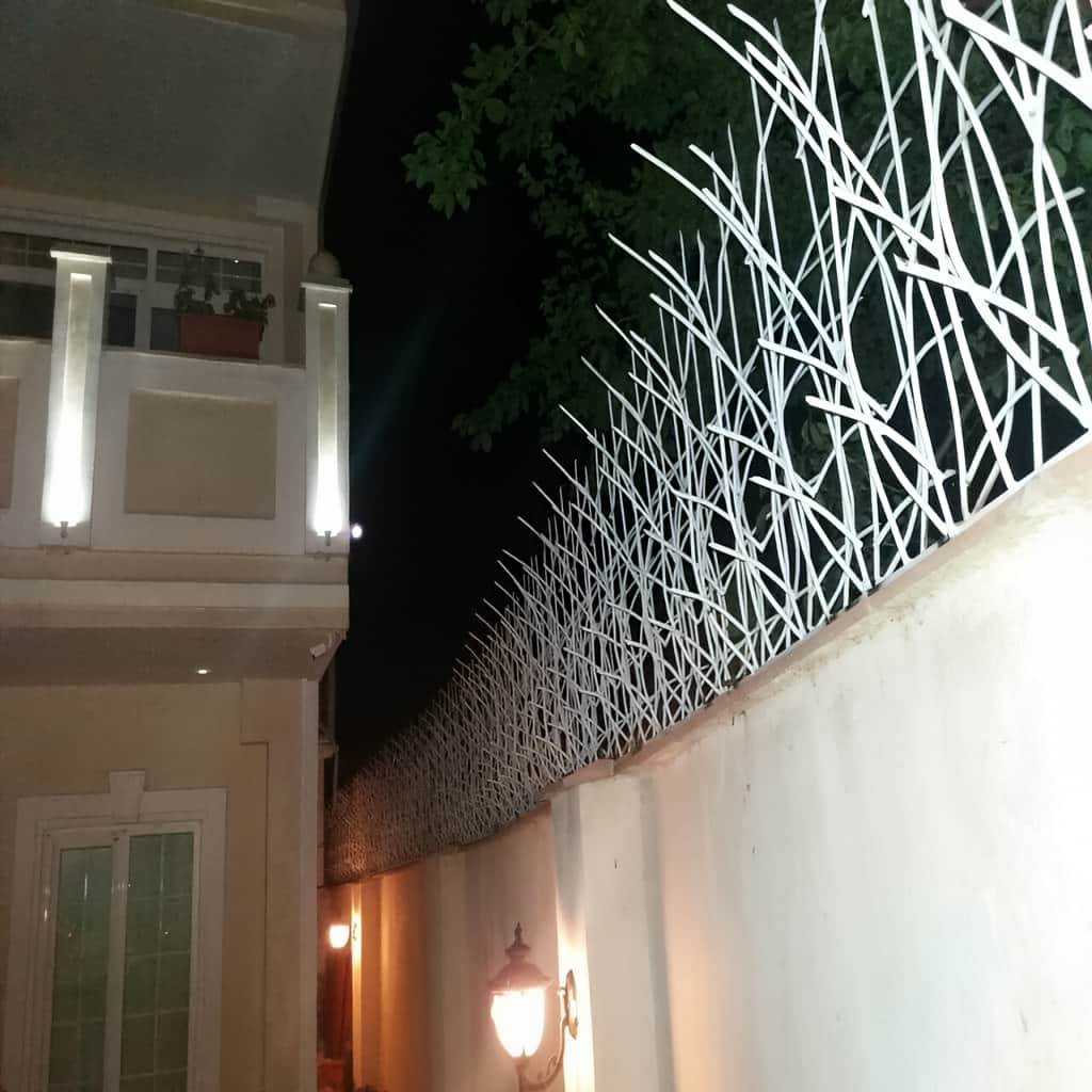 نصب حفاظ نیزار روی تاج دیوار باغ