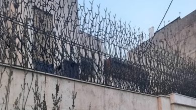 انتخاب حفاظ مناسب روی دیوار برای خانه ویلا و باغ