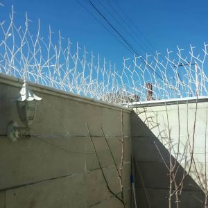 خرید حفاظ شاخ گوزنی برای افزایش امنیت دیوار ساختمان