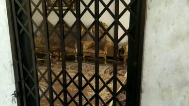 حفاظ درب آکاردئونی طوسی کنار ورودی ساختمان در زاهدان