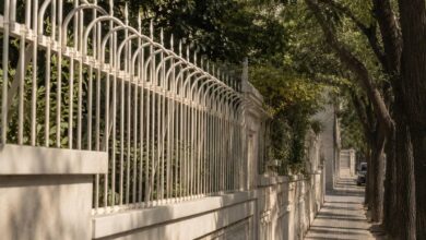 حفاظ دیوار شاخ گوزنی مشکی در بجنورد