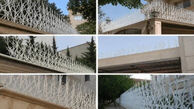 حفاظ دیوار شاخ گوزنی مشکی در شهرکرد