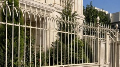 حفاظ دیوار شاخ گوزنی مشکی در یاسوج